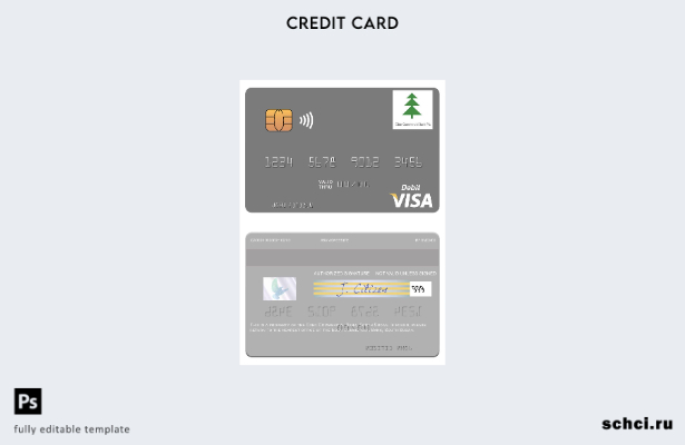 скачать в цифровом формате шаблон дебетовой карты Visa South Sudan Eden Commerci